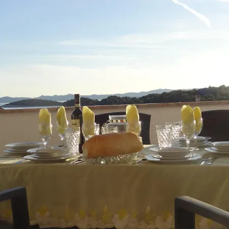 Modern Island With Pool 80 Meters From The Sea B Apartmán Ždrelac