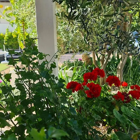 Ilsad Apartments, With Pool 80 Meters From Se, Sea View From Balcony