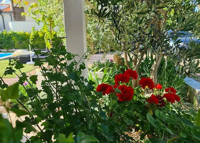 Ilsad Apartments, With Pool 80 Meters From Se, Sea View From Balcony